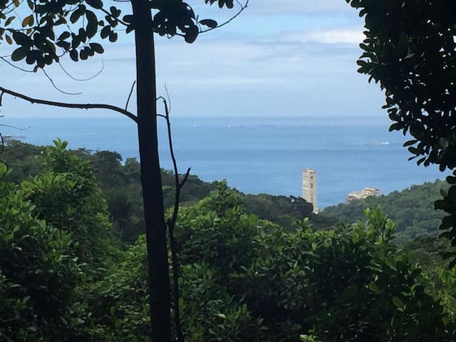 Casa Floresta – Urban Paradise- Ocean View gallery image 3