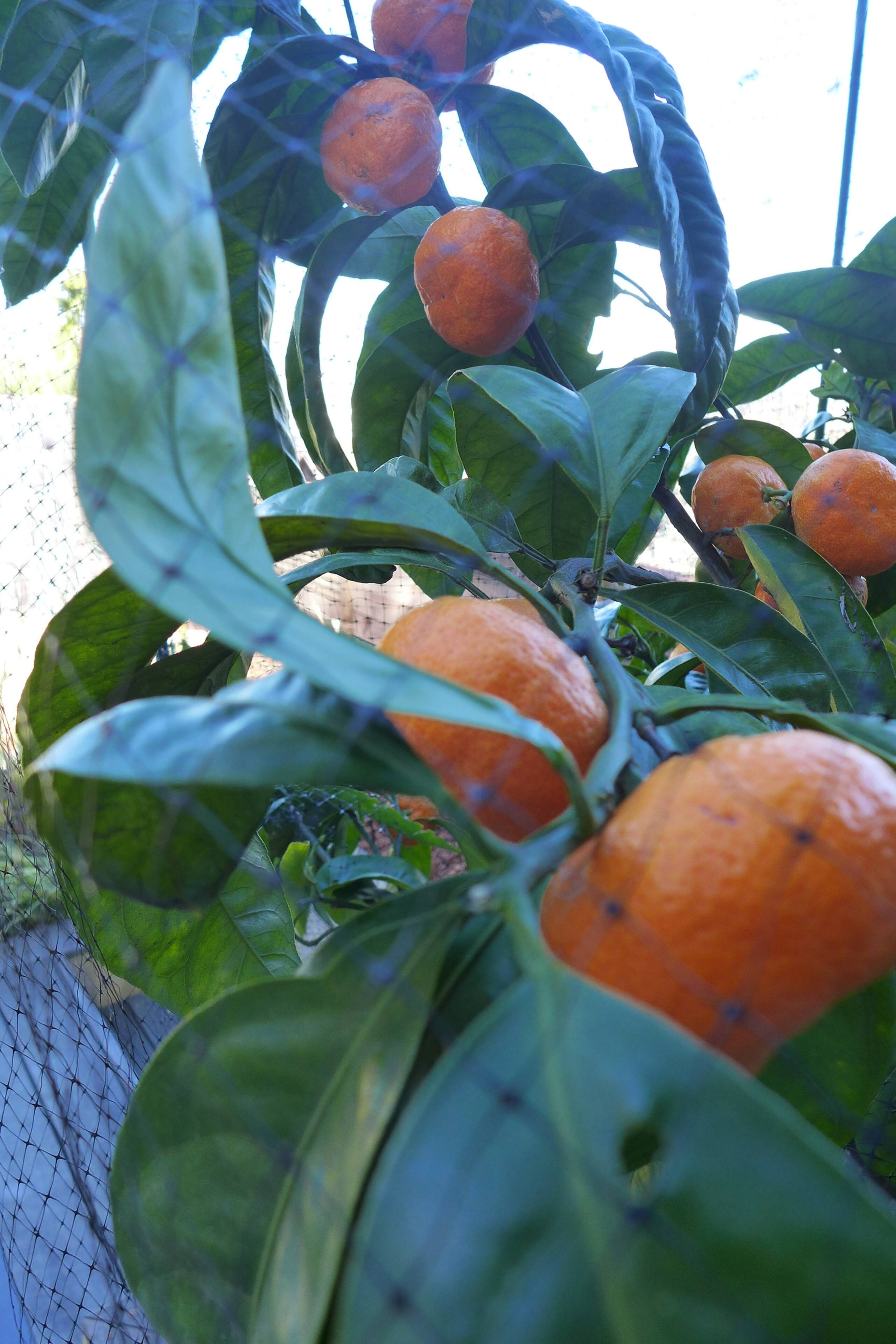 Home in San Francisco · ★4.9 · 1 bedroom · 2 beds · 1 bath - Image 29