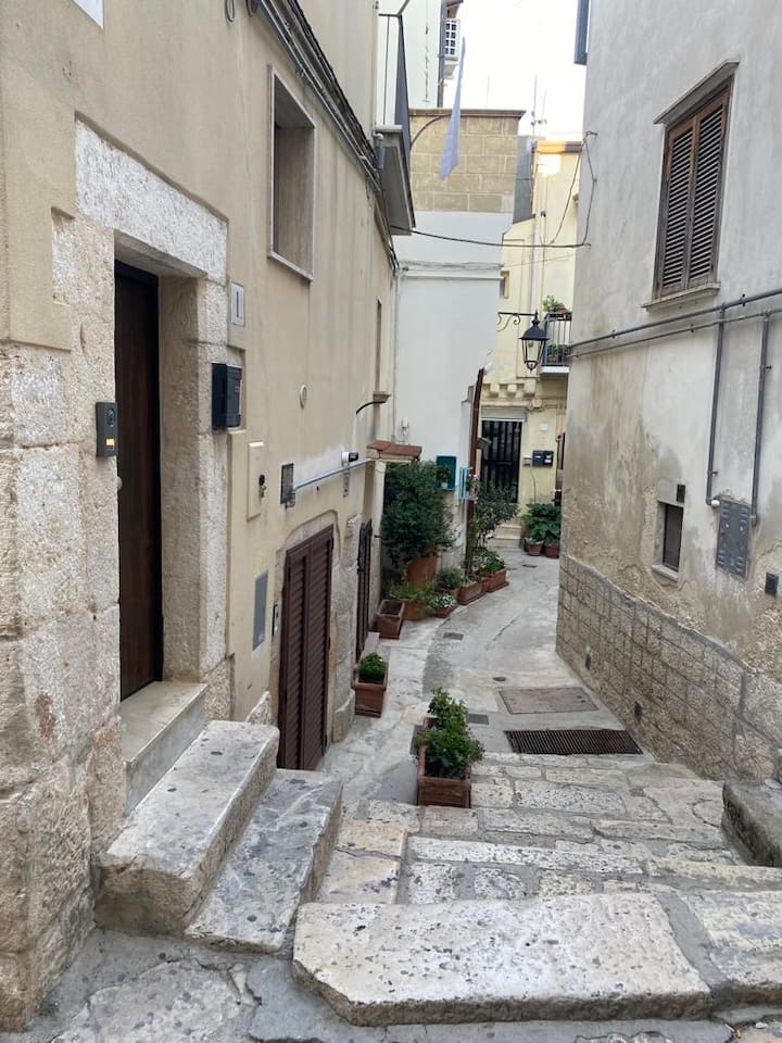 Apartment in the historic center "Casa Porsia"