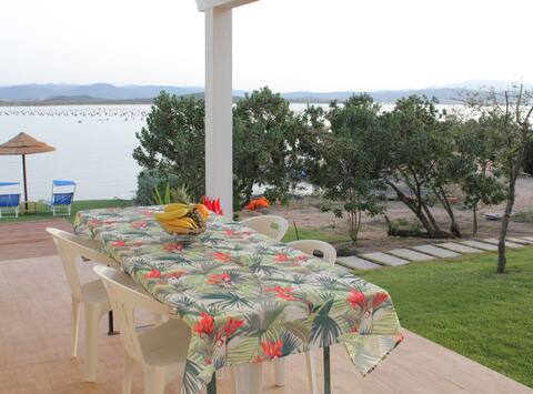 House by the sea, garden and view
