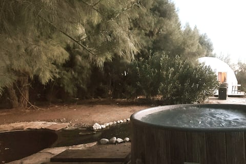 Private Hot Spring & Dome on Date Farm
