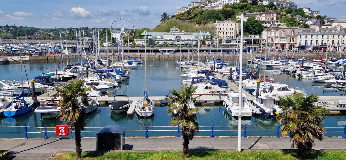 A serene view of Torquay harbour features numerous boats docked in the calm waters. Lush palm trees line the walkway, while the backdrop showcases a hillside adorned with residential buildings and greenery. In the distance, a ferris wheel adds a charming touch to the coastal landscape.