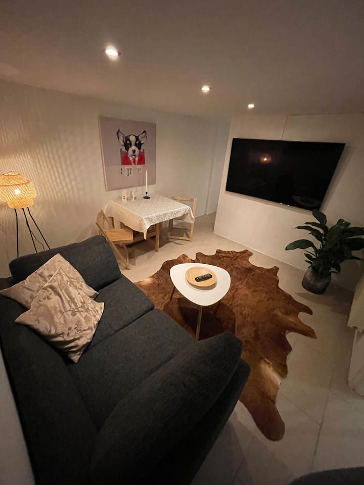 Cozy basement apartment