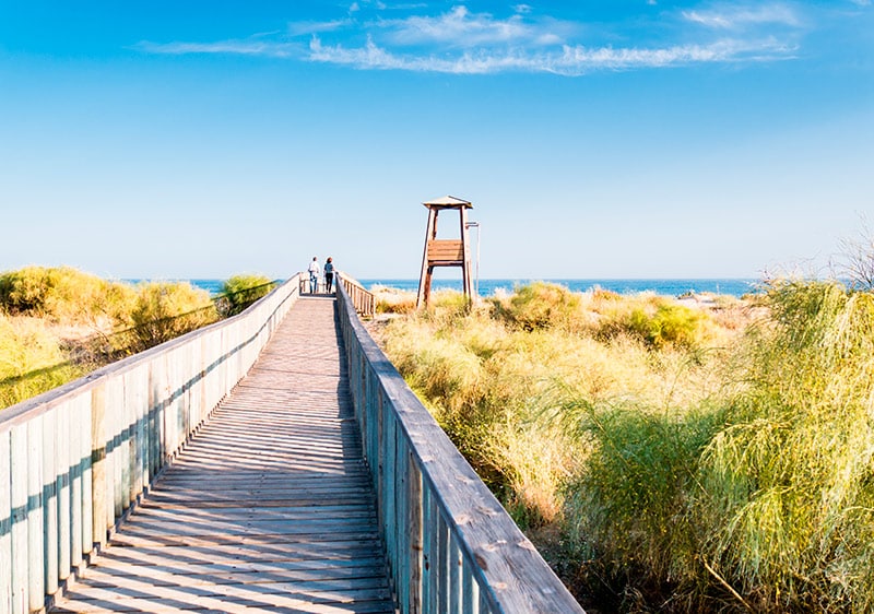A wooden boardwalk extends towards the beach, surrounded by tall grass and shrubs. A lifeguard tower stands in the distance, overlooking the sandy shore and blue ocean. The sky is clear, offering a bright and open atmosphere.