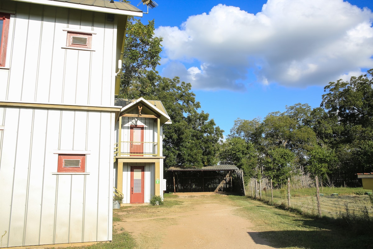 A charming two-story building features a light-colored exterior with a mix of large and small windows. A well-maintained gravel path leads to the entrance, surrounded by a grassy yard and shaded by mature trees. The clear blue sky is dotted with fluffy clouds, enhancing the serene setting.