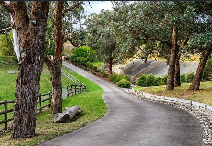 Dream getaway in an oasis gallery image 3