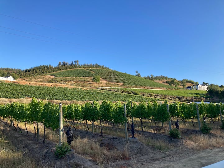 Stellenbosch home Houses for Rent in Stellenbosch, Western Cape, South Africa Airbnb