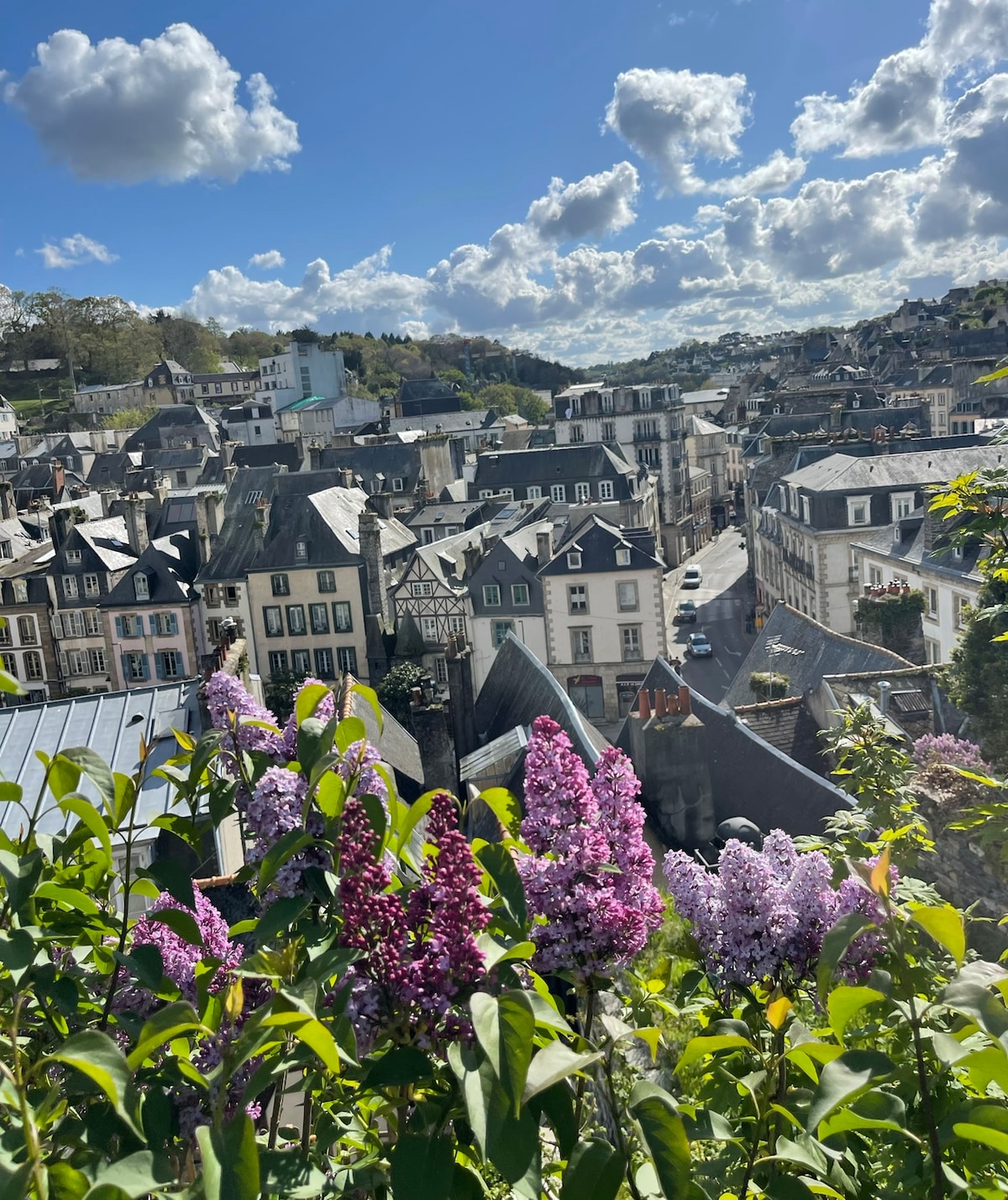 A vibrant garden is visible in the foreground, featuring blooming lilac flowers. In the background, a panoramic view of the city showcases a blend of traditional architecture and rooftops under a partly cloudy sky.