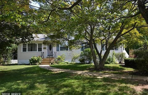 Cozy Sweet Home in Falls Church