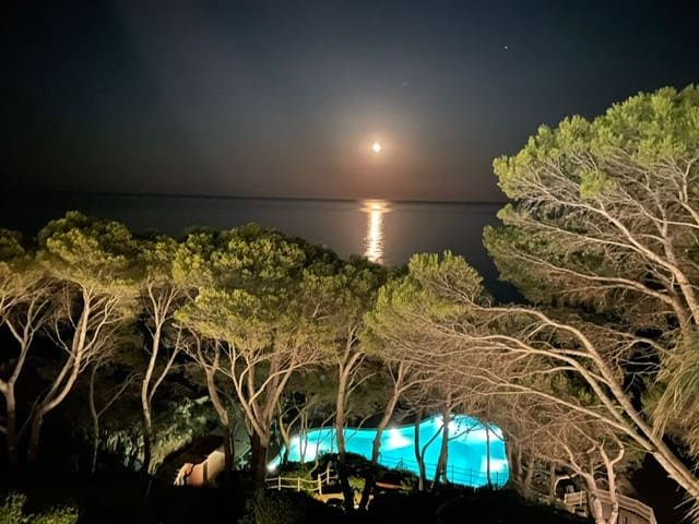 Cap Sa Sal Blue; Terraza delante del mar