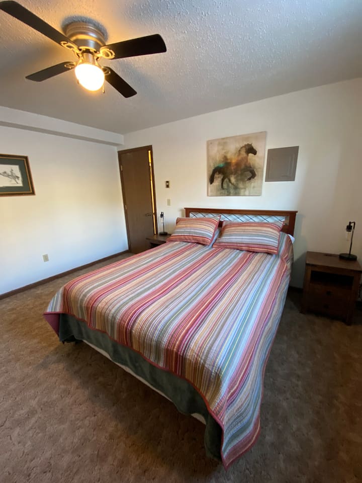 Chambre au rez-de-chaussée avec lit Queen. Beaucoup d'espace de rangement, de cintres et de valises.