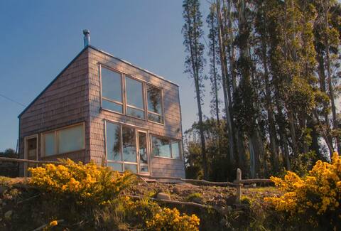 Beautiful oceanfront cabin.