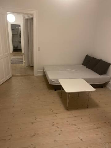 Stor privat lejlighed centralt i København gallery image 5