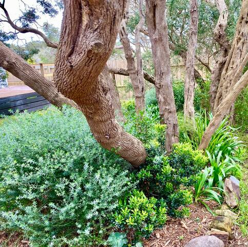 Blairgowrie Beach House – 2 Minutes from the Beach gallery image 5