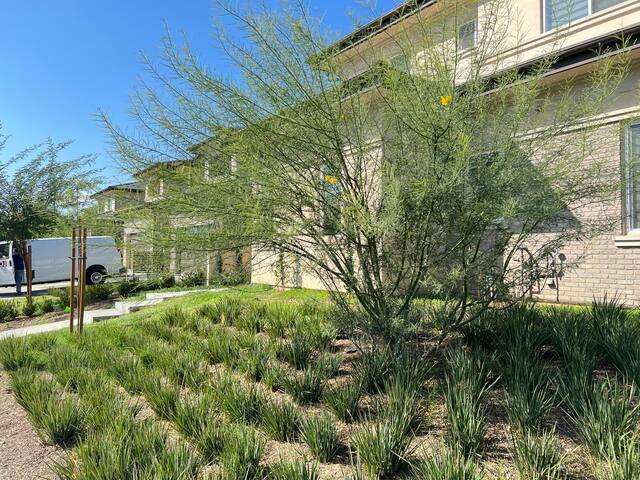 New construction cozy home 4b/4.5bath gallery image 3