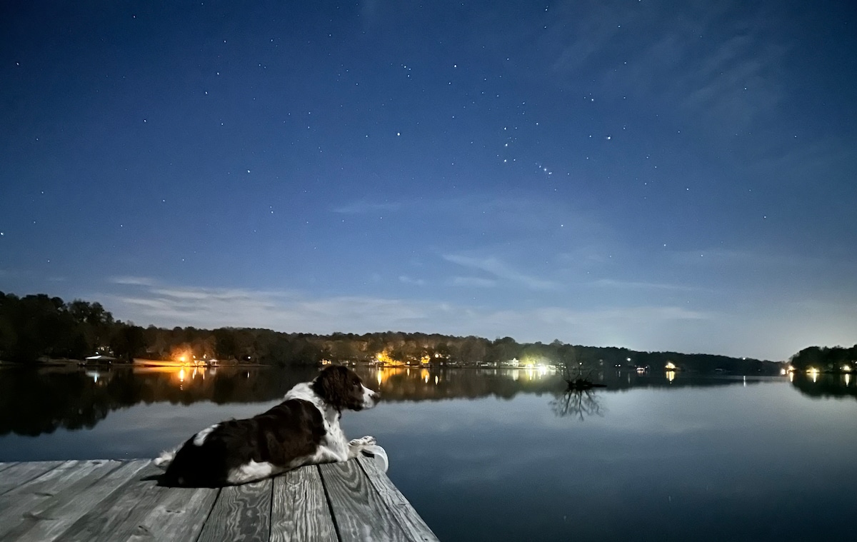 A calm lake is viewed under a starlit sky, reflecting soft lights from across the water. A dog lies peacefully on a wooden dock, taking in the serene night surroundings and stillness of the lake.