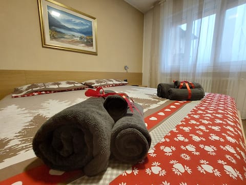 Spacious apartment in the city center