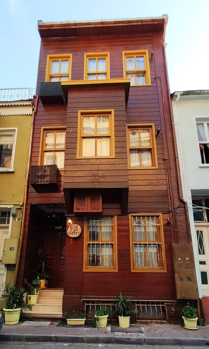 Eco 1 Floor 1+1 Room For Family Houses for Rent in Fatih, İstanbul, Turkey Airbnb