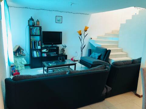 Spacious house for pet friend