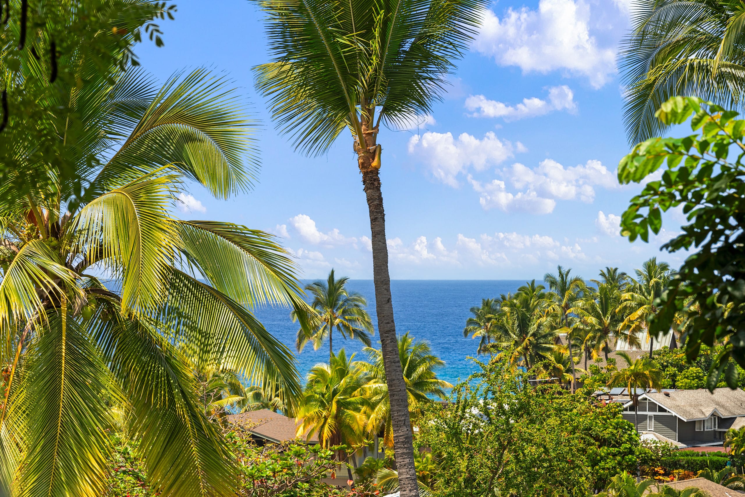 Townhouse in Kailua-Kona · ★4.86 · 1 bedroom · 2 beds · 1 bath - Image 21