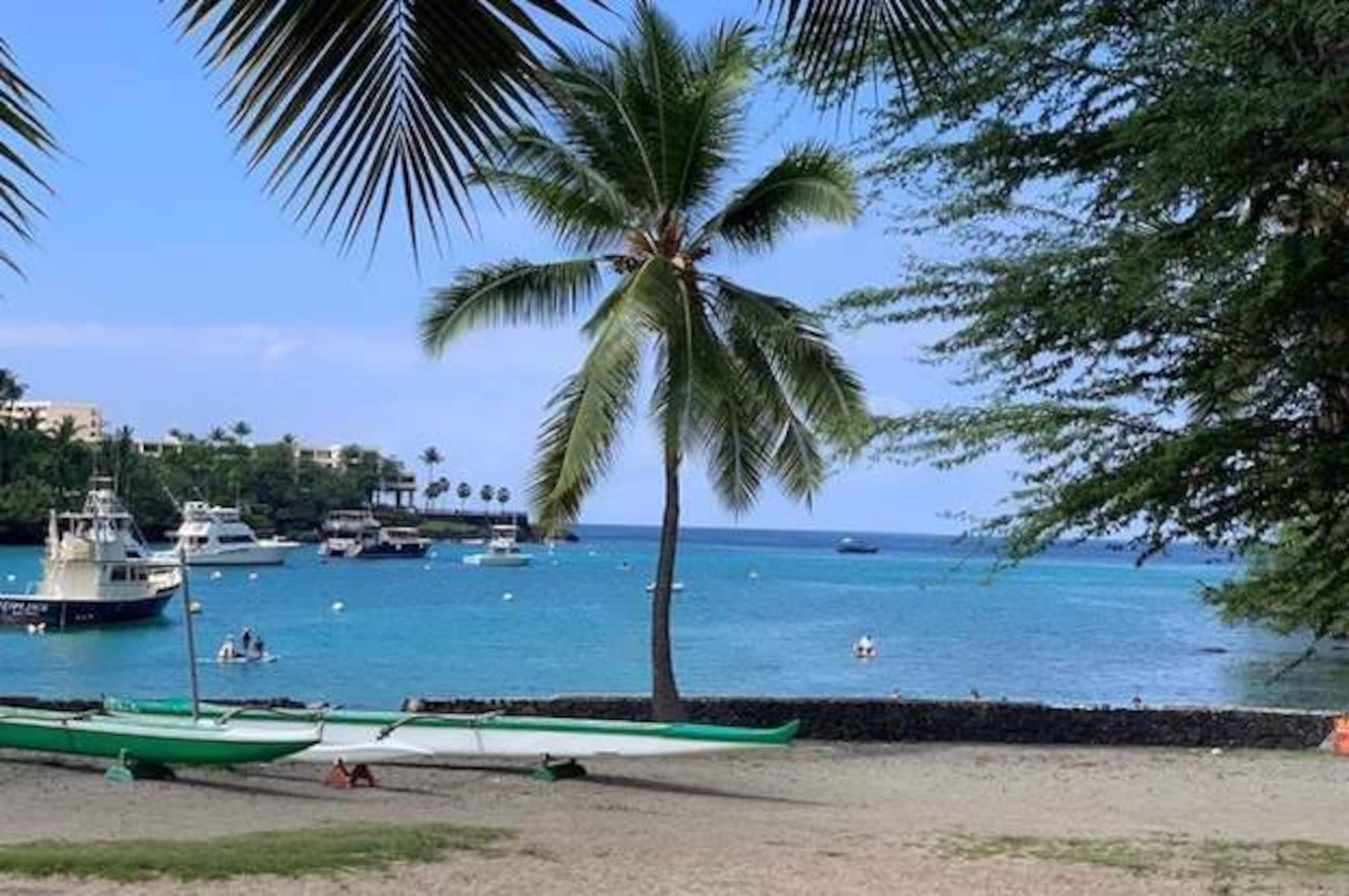 Townhouse in Kailua-Kona · ★4.86 · 1 bedroom · 2 beds · 1 bath - Image 49