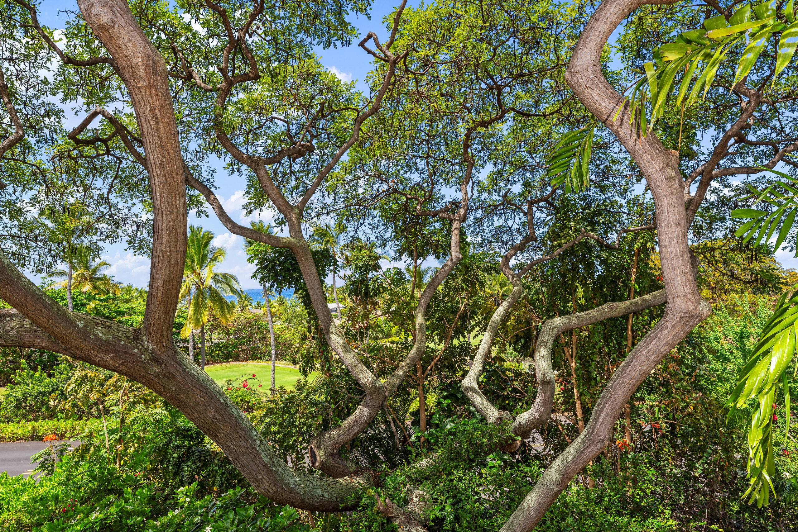 Townhouse in Kailua-Kona · ★4.86 · 1 bedroom · 2 beds · 1 bath - Image 23