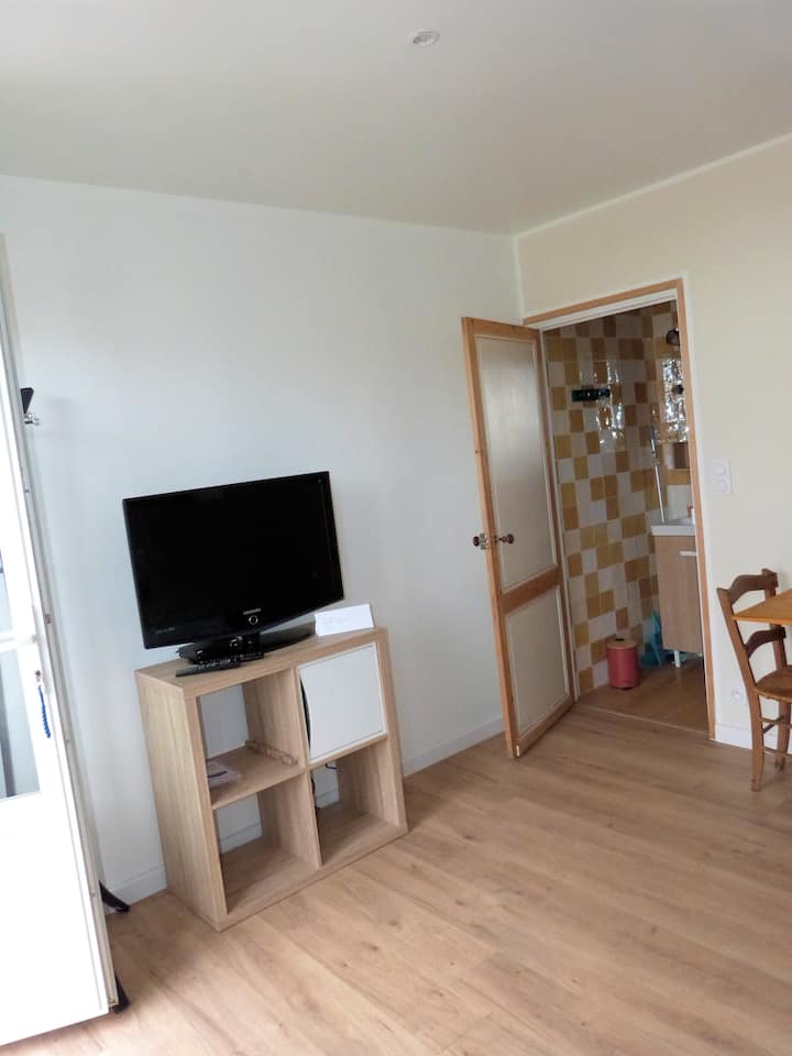 TV and shower room entrance.