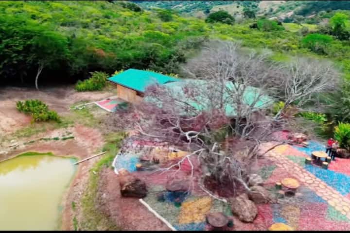 Torre Del áRbol - Viotá
