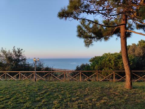 La Volpe nel Pineta