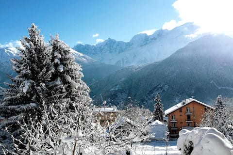 Successful Airbnb property: Chalet with garden facing Mont Blanc in Passy