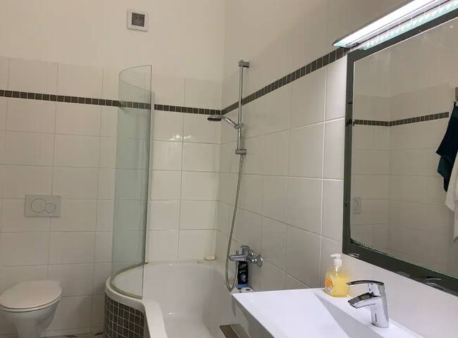 Luxus-Altbau 100qm Wien Mitte gallery image 5