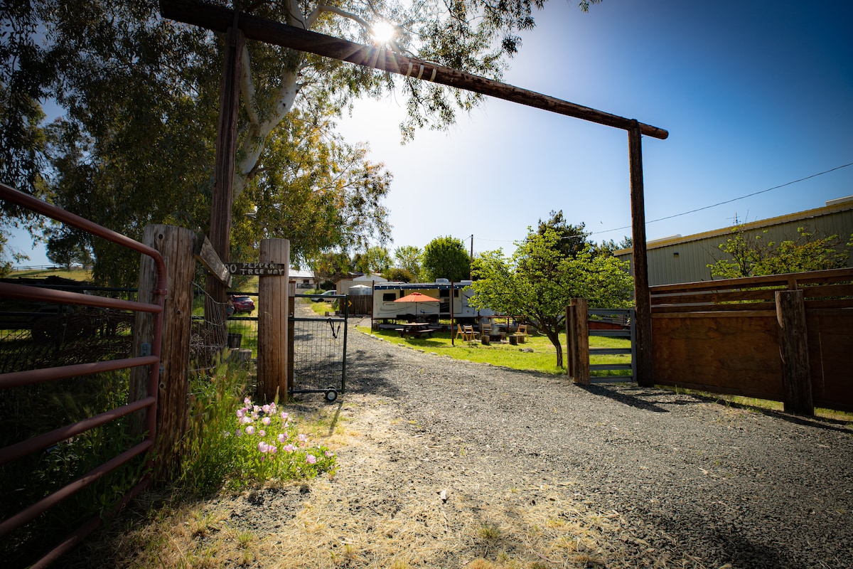 The entrance to the property is framed by a wooden archway, allowing sunlight to stream through. A gravel pathway leads towards a spacious area with greenery. Camper units are visible in the background, surrounded by trees and open space.