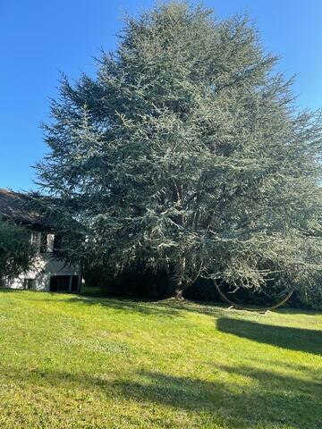 The Lake House gallery image 5