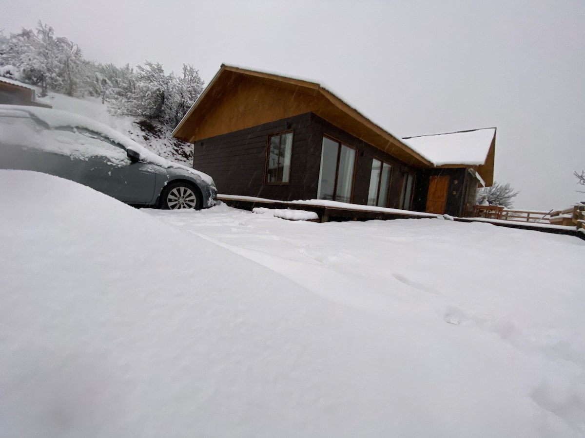 A snow-covered pathway leads to a modern cabin, featuring large windows that complement the snow-blanketed landscape. The vehicle is parked nearby, indicating accessibility during winter. Surrounding greenery is lightly dusted with snow, enhancing the serene atmosphere.