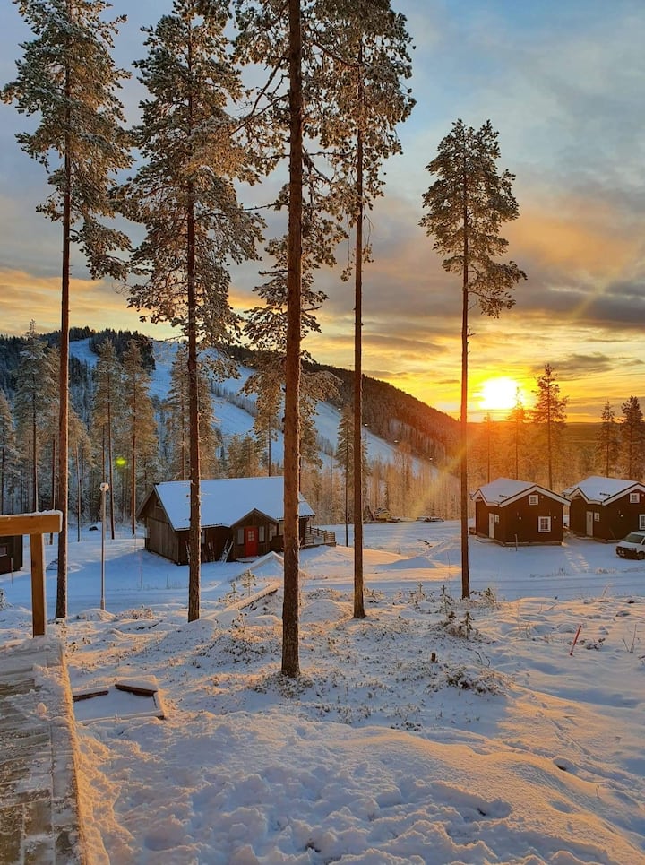 Storklinen cottage Cabins for Rent in Boden, Norrbottens län, Sweden Airbnb