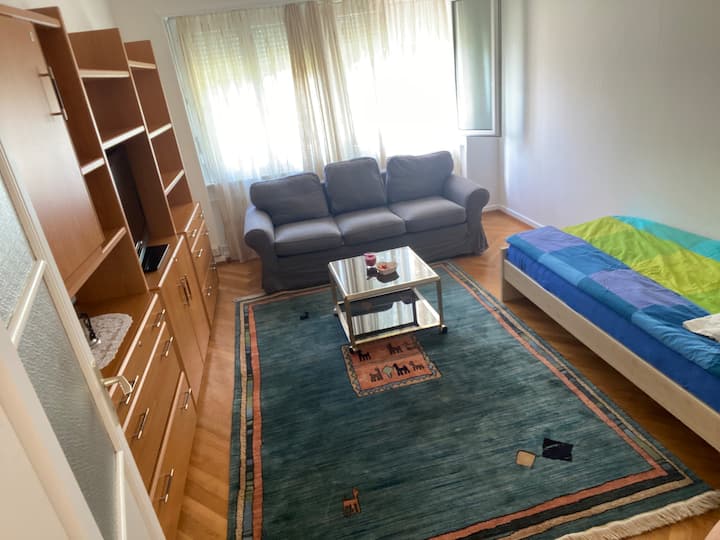 Bright apartment in Lausanne Apartments for Rent in Lausanne, Vaud