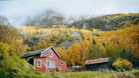 Cozy Cabin „Cherry“