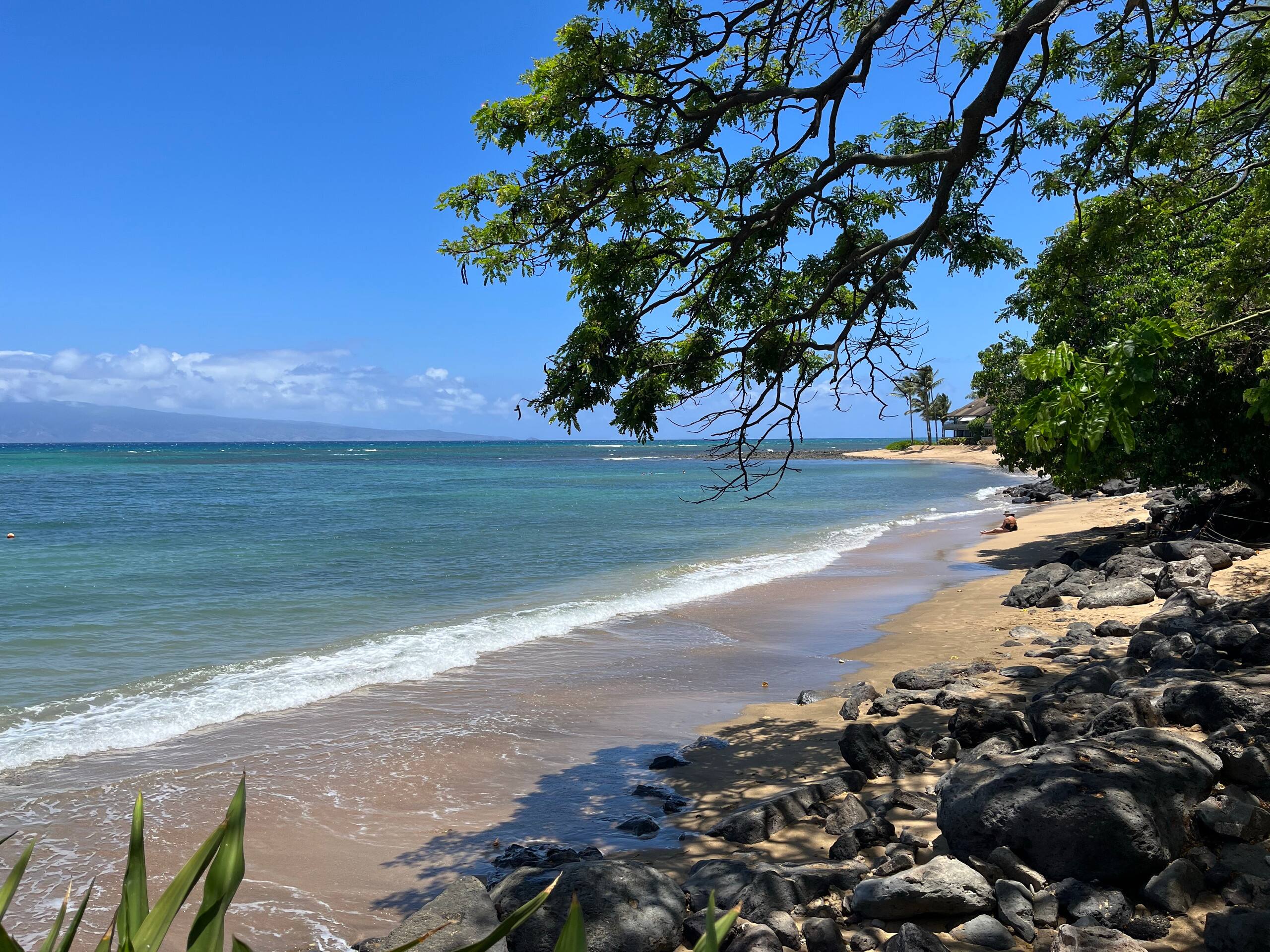 Condo in Lahaina · ★4.92 · 1 bedroom · 2 beds · 1 bath - Image 30
