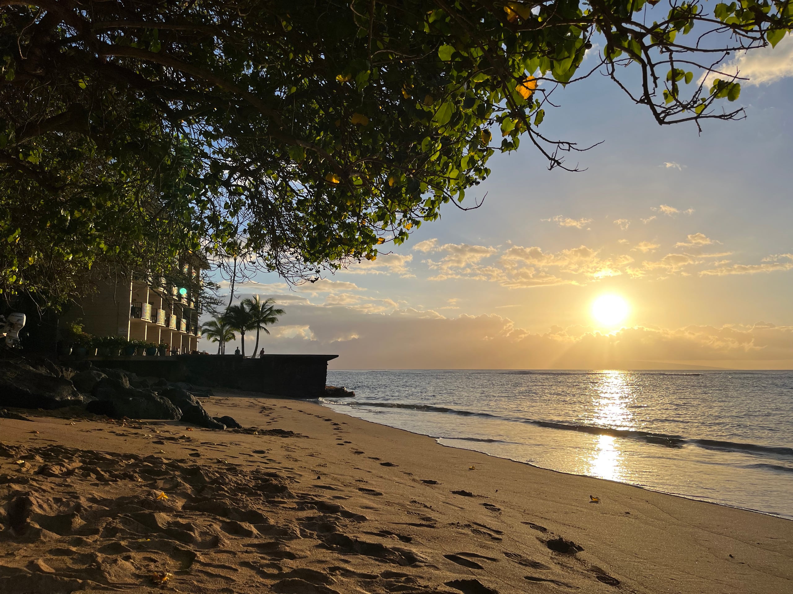 Condo in Lahaina · ★4.92 · 1 bedroom · 2 beds · 1 bath - Image 29