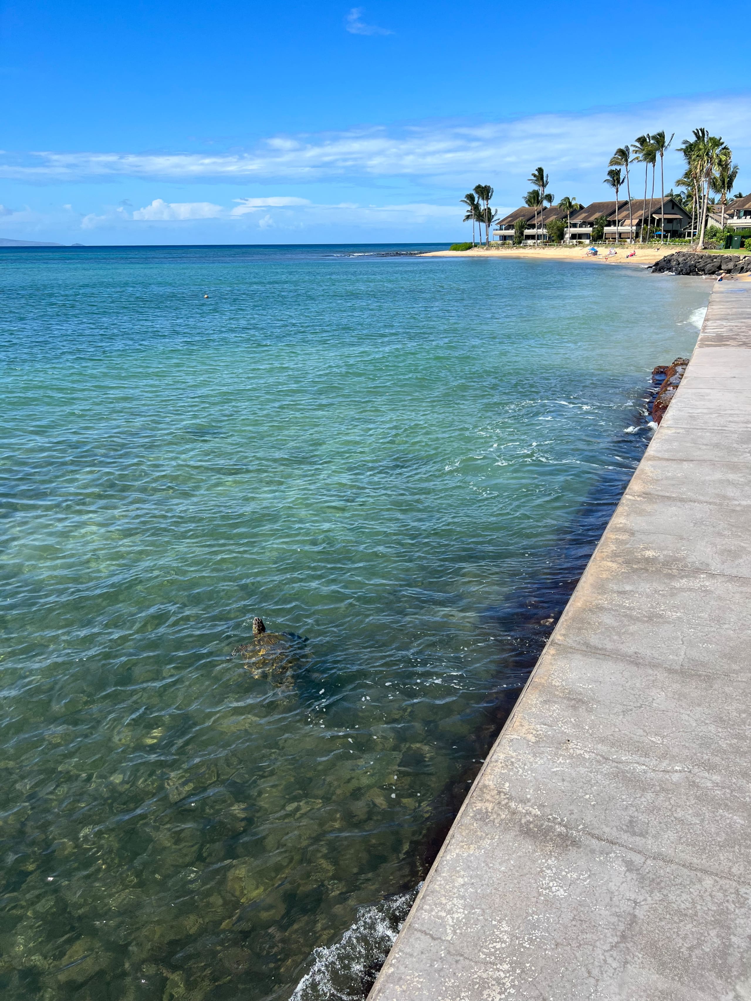 Condo in Lahaina · ★4.92 · 1 bedroom · 2 beds · 1 bath - Image 32