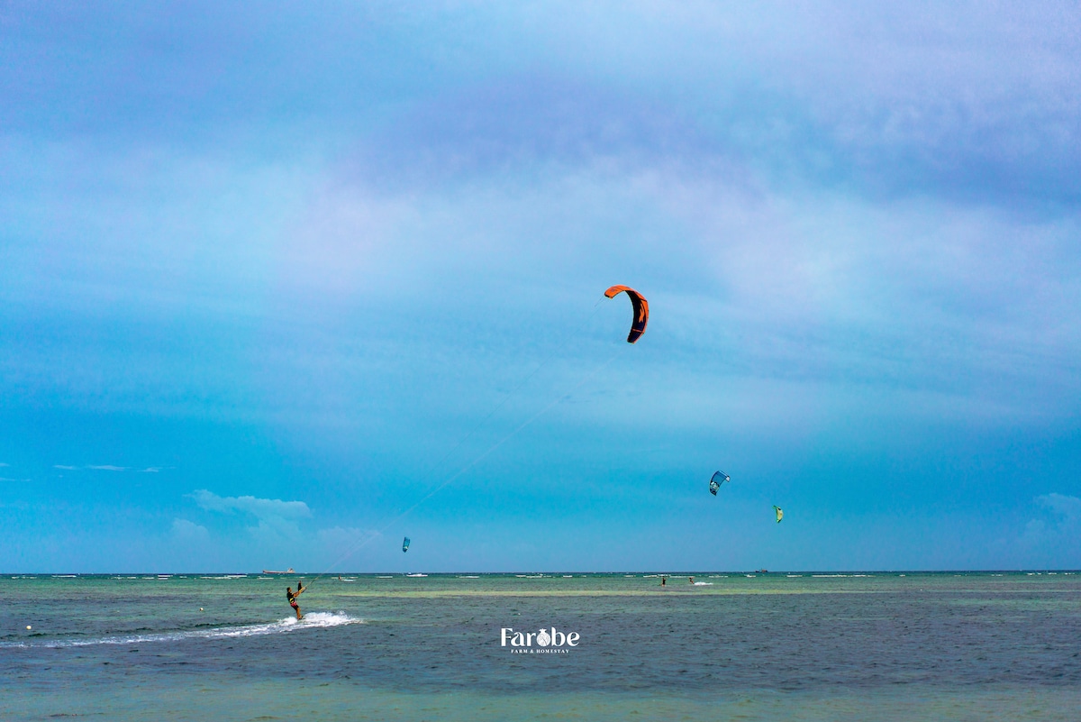 Kitesurfers are seen navigating the water, with colorful kites soaring through a clear blue sky. The serene ocean contrasts with the dynamic movement of the athletes, highlighting a lively atmosphere at the beach.