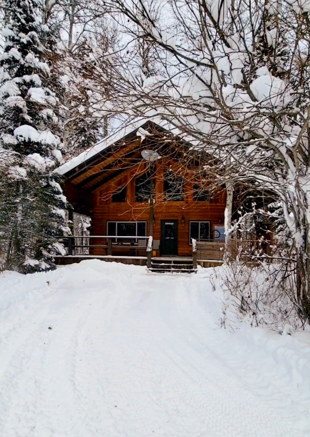 A rustic cabin is seen nestled among snow-covered trees, with a sloped roof and expansive front porch. The driveway is flanked by white snow, leading to the inviting entrance. Large windows reflect the serene winter landscape, creating a cozy and welcoming exterior.