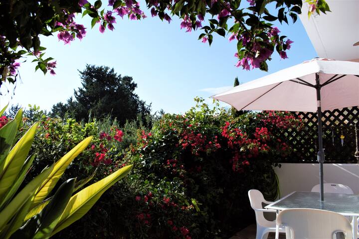 A. Pericleous Properties LTD managed Airbnb listing 1