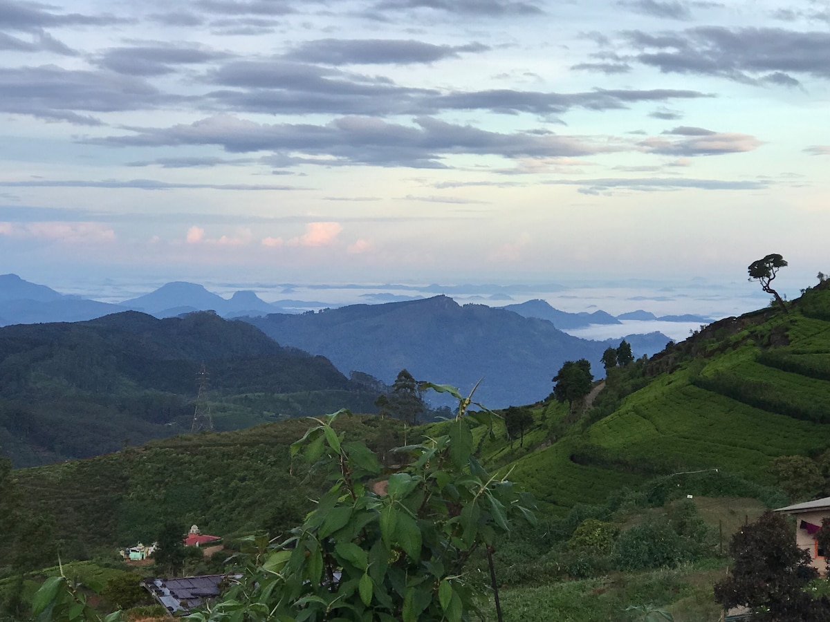 A sweeping view of rolling hills and distant mountains is captured, with varying shades of green from lush tea plantations. The sky features soft clouds and a pale blue hue, creating a serene backdrop to the rural landscape.