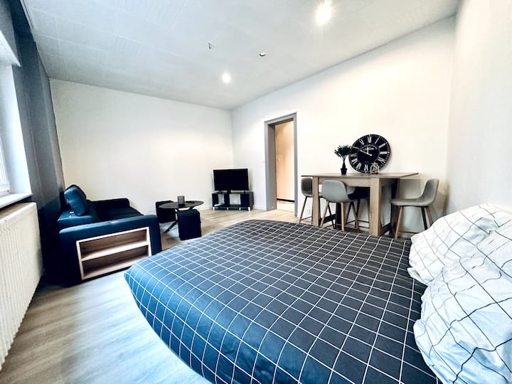 Gare Mulhouse apartment 3 people Apartments for Rent in Mulhouse