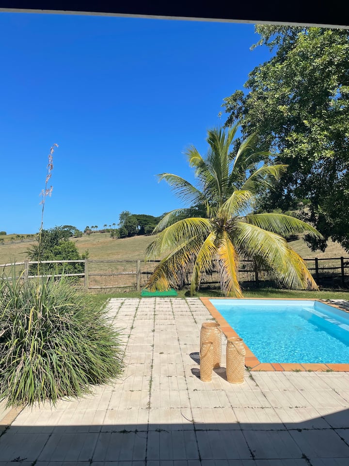 Awesome villa 1 Villas for Rent in Le François, Le Marin, Martinique