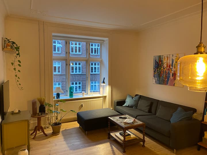 Allaround cozy apartment Apartments for Rent in Copenhagen, Denmark