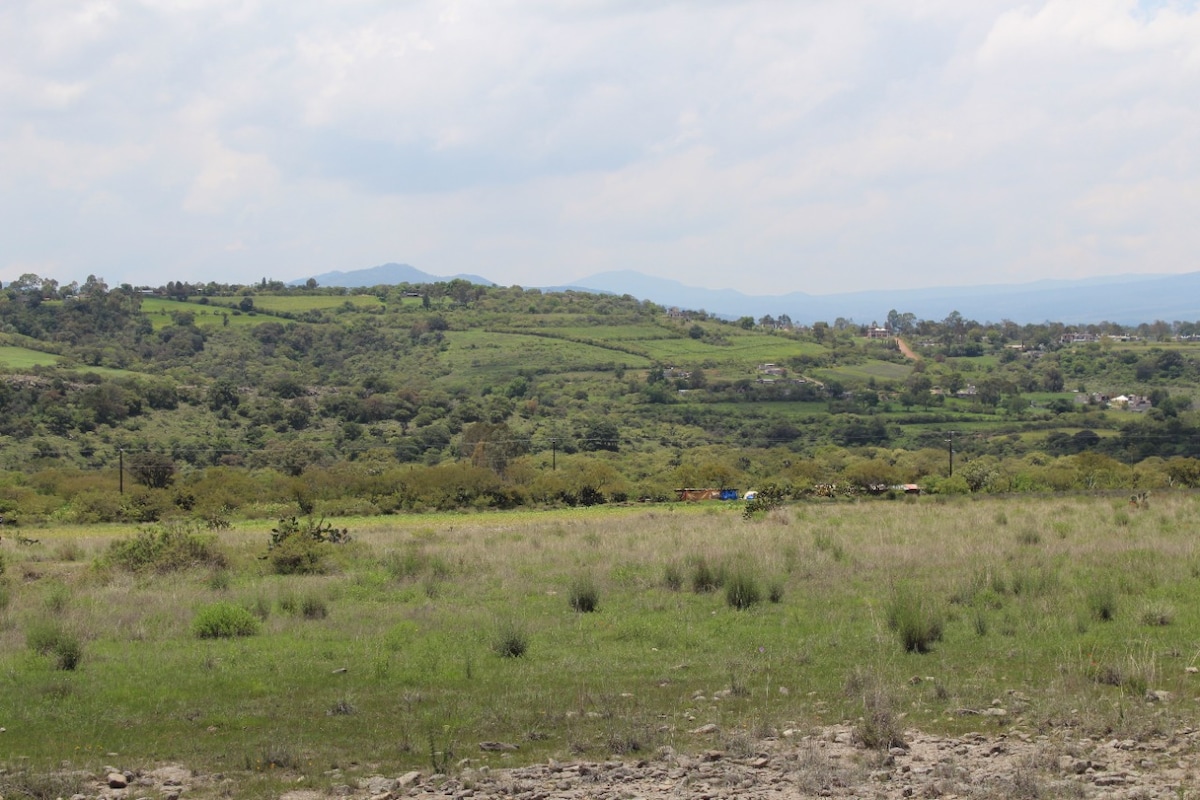 A sweeping landscape is depicted, featuring rolling green hills under a partly cloudy sky. The foreground shows a grassy area with sparse vegetation, while distant hills are visible, creating a serene backdrop that emphasizes the natural beauty of the surroundings.