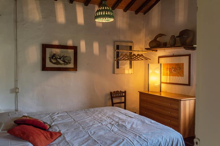 Habitación 1