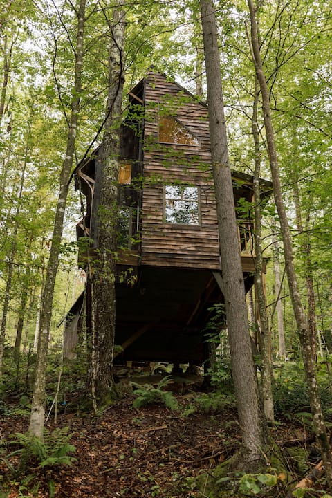 Weasley's Enchanted Treehouse @ Vermont ReTREEt